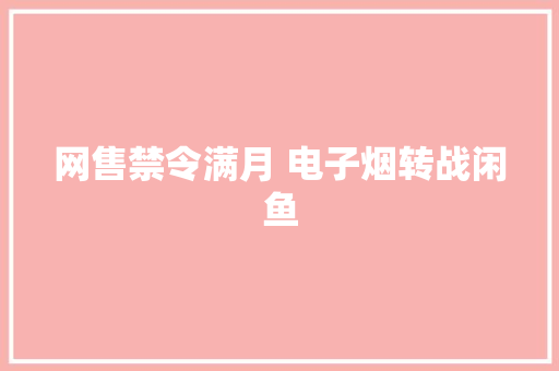 网售禁令满月 电子烟转战闲鱼