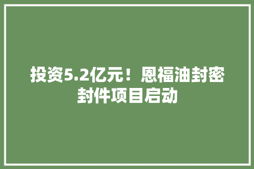 投资5.2亿元！恩福油封密封件项目启动