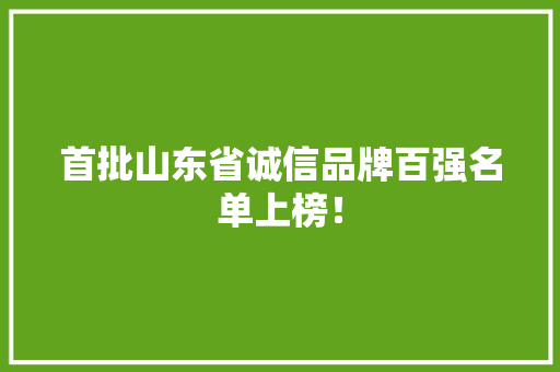 首批山东省诚信品牌百强名单上榜！