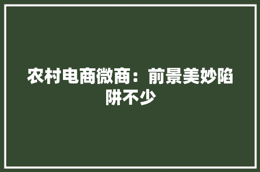 农村电商微商：前景美妙陷阱不少
