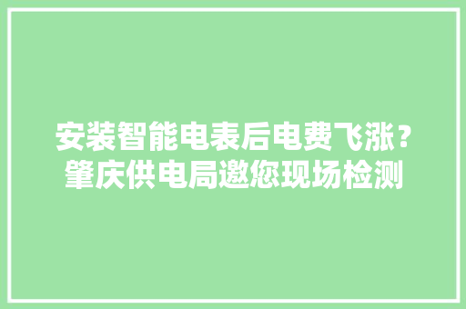 安装智能电表后电费飞涨？肇庆供电局邀您现场检测