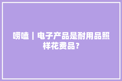 唠嗑｜电子产品是耐用品照样花费品？