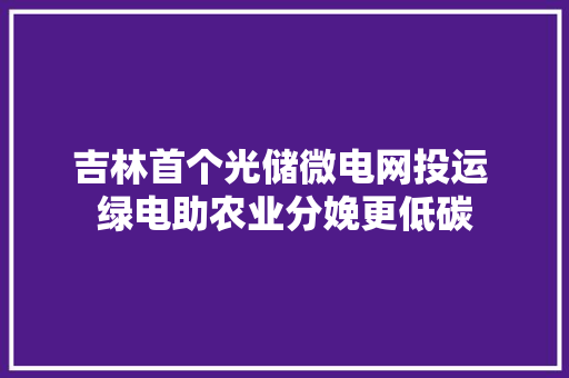 吉林首个光储微电网投运 绿电助农业分娩更低碳