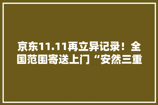 京东11.11再立异记录！全国范围寄送上门“安然三重锁”让消费者寄得宁神