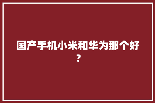 国产手机小米和华为那个好？