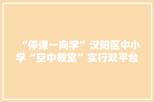“停课一向学”汉阳区中小学“空中教室”实行双平台直播