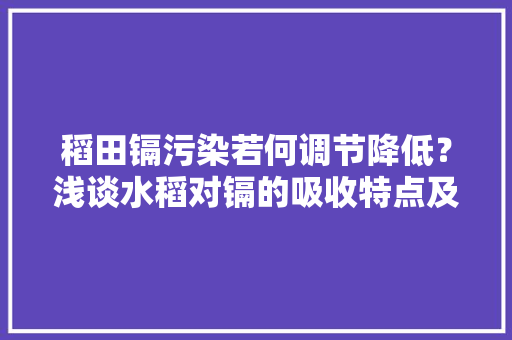 稻田镉污染若何调节降低？浅谈水稻对镉的吸收特点及有效治理方法
