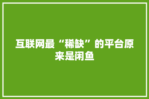 互联网最“稀缺”的平台原来是闲鱼