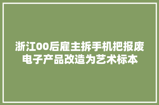 浙江00后雇主拆手机把报废电子产品改造为艺术标本 浙江00后雇主拆手机把报废电子产品改造为艺术标本 互联通信