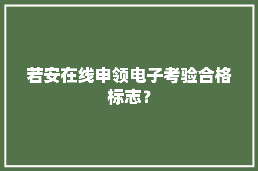 若安在线申领电子考验合格标志？