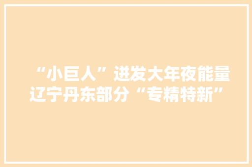 “小巨人”迸发大年夜能量辽宁丹东部分“专精特新”企业拜访见闻