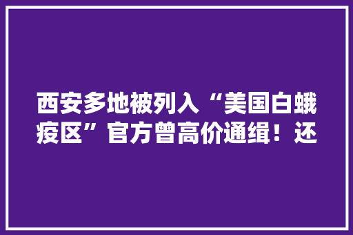 西安多地被列入“美国白蛾疫区”官方曾高价通缉！还有一种虫子正在切近亲近秦岭