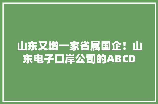 山东又增一家省属国企！山东电子口岸公司的ABCD