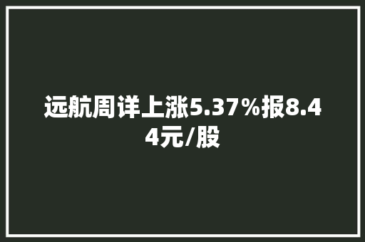 远航周详上涨5.37%报8.44元/股