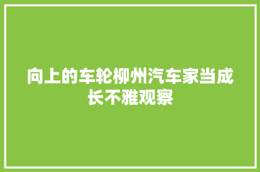 向上的车轮柳州汽车家当成长不雅观察