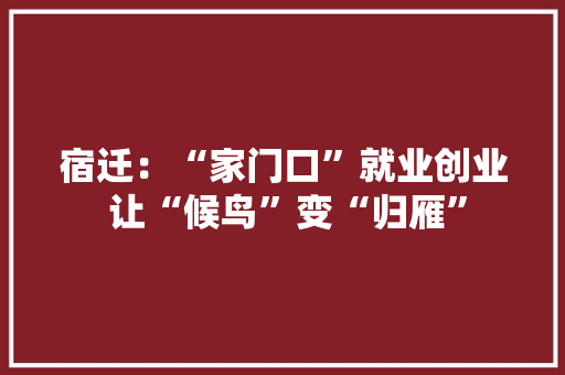宿迁：“家门口”就业创业 让“候鸟”变“归雁” 宿迁：“家门口”就业创业 让“候鸟”变“归雁” 互联通信