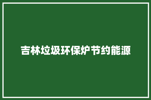 吉林垃圾环保炉节约能源