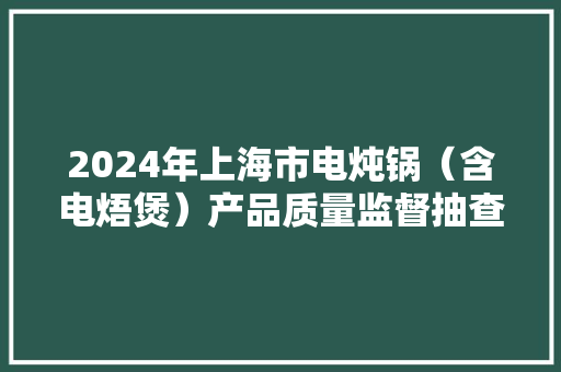 2024年上海市电炖锅（含电焐煲）产品质量监督抽查结果