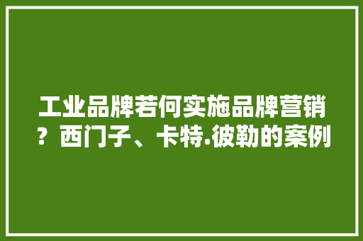 工业品牌若何实施品牌营销？西门子、卡特.彼勒的案例值得参考 工业品牌若何实施品牌营销？西门子、卡特.彼勒的案例值得参考 互联通信