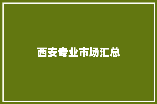 西安专业市场汇总