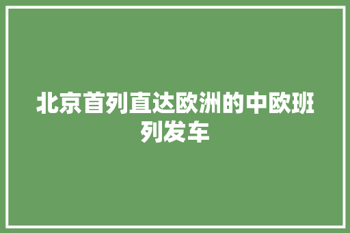北京首列直达欧洲的中欧班列发车