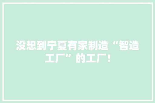 没想到宁夏有家制造“智造工厂”的工厂！