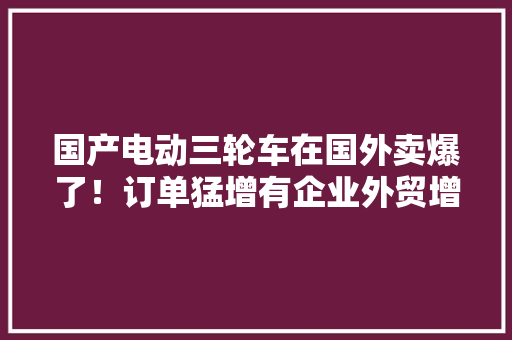 国产电动三轮车在国外卖爆了！订单猛增有企业外贸增幅达50% 国产电动三轮车在国外卖爆了！订单猛增有企业外贸增幅达50% 智能家居
