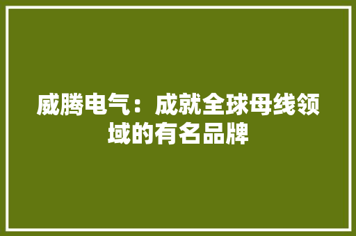 威腾电气：成就全球母线领域的有名品牌