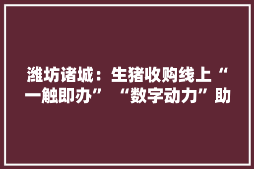 潍坊诸城：生猪收购线上“一触即办” “数字动力”助推畜牧业转型进级