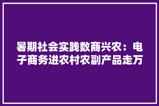 暑期社会实践数商兴农：电子商务进农村农副产品走万家