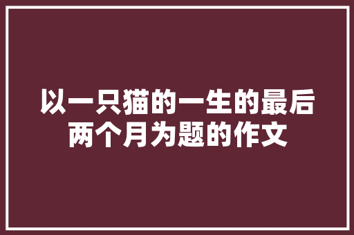 电动MINI Cooper比拟smart 精灵1：经典小车再战电动时代|测评