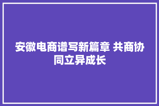 安徽电商谱写新篇章 共商协同立异成长