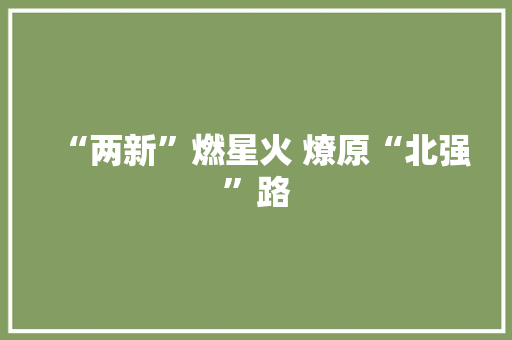 “两新”燃星火 燎原“北强”路 智能科技