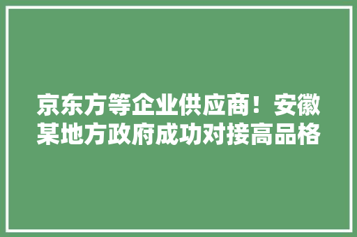 京东方等企业供应商！安徽某地方政府成功对接高品格显示配件项目