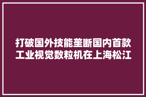 打破国外技能垄断国内首款工业视觉数粒机在上海松江出身