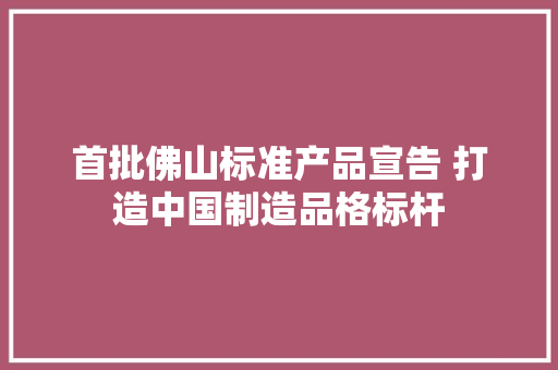 首批佛山标准产品宣告 打造中国制造品格标杆