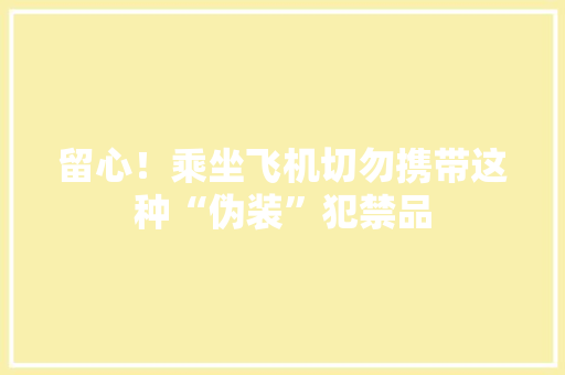 留心！乘坐飞机切勿携带这种“伪装”犯禁品 留心！乘坐飞机切勿携带这种“伪装”犯禁品 智能家居