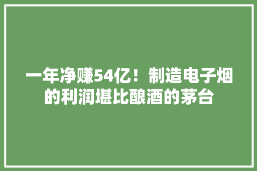 一年净赚54亿！制造电子烟的利润堪比酿酒的茅台