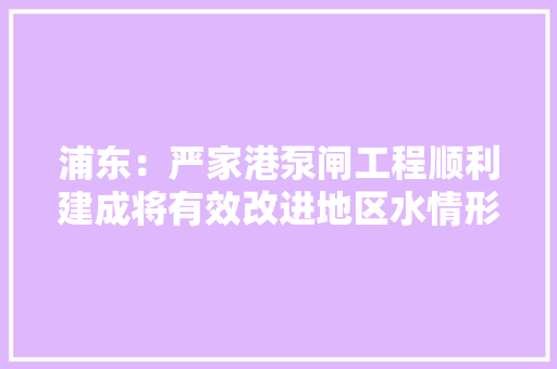 浦东：严家港泵闸工程顺利建成将有效改进地区水情形