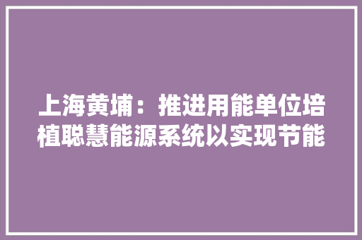 上海黄埔：推进用能单位培植聪慧能源系统以实现节能低碳