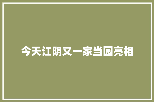 今天江阴又一家当园亮相