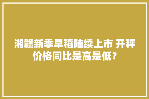 湘赣新季早稻陆续上市 开秤价格同比是高是低？