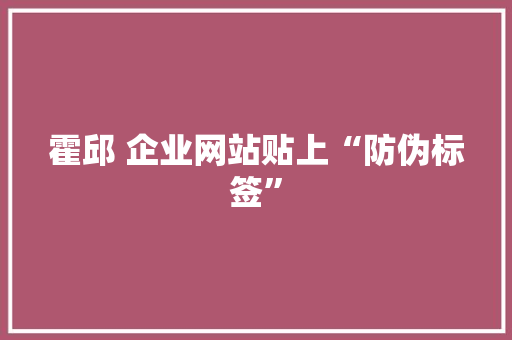 霍邱 企业网站贴上“防伪标签”