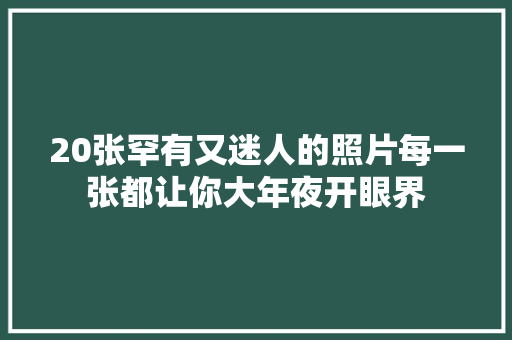 20张罕有又迷人的照片每一张都让你大年夜开眼界