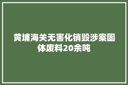 黄埔海关无害化销毁涉案固体废料20余吨