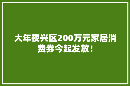 大年夜兴区200万元家居消费券今起发放！