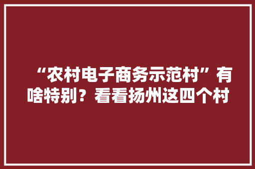“农村电子商务示范村”有啥特别？看看扬州这四个村的“淘宝”故事