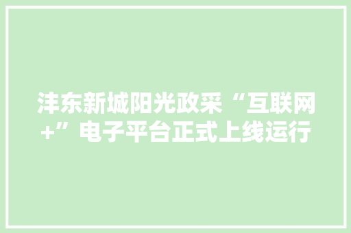沣东新城阳光政采“互联网+”电子平台正式上线运行~