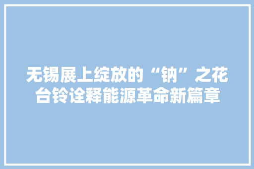 无锡展上绽放的“钠”之花台铃诠释能源革命新篇章