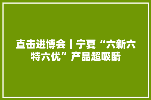 直击进博会｜宁夏“六新六特六优”产品超吸睛